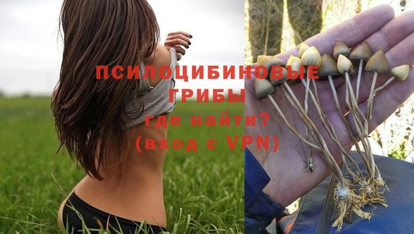 кристаллы Белокуриха